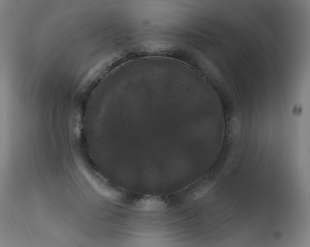 X0000111460644200907131456