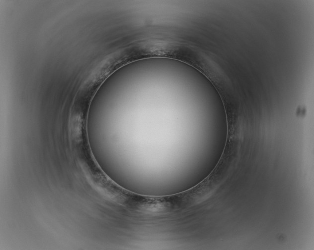 X0000111460646200907131456