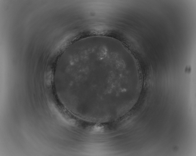 X0000111460647200907131456