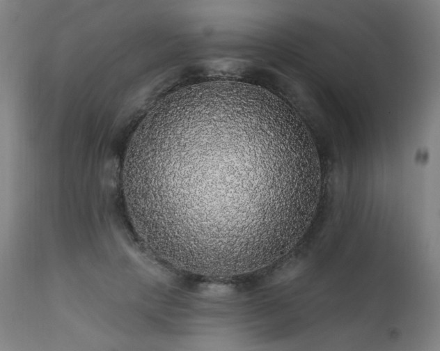 X0000111460649200907131456