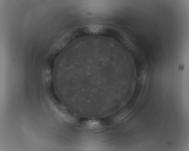 X0000111460651200907131456