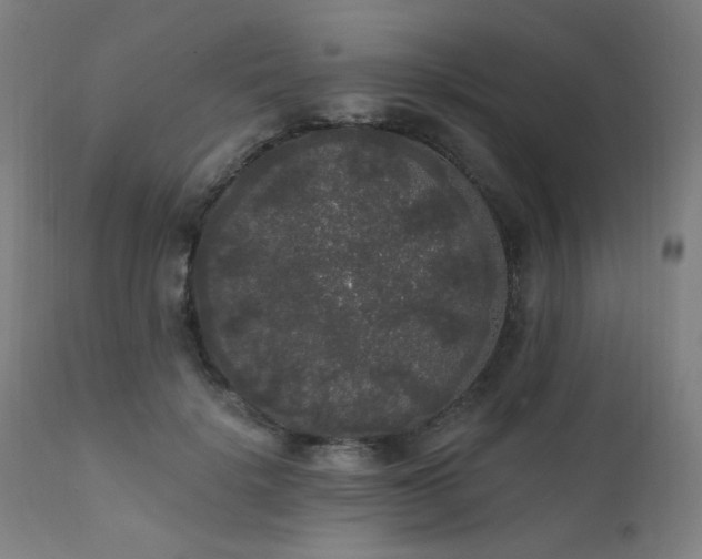 X0000111460652200907131456