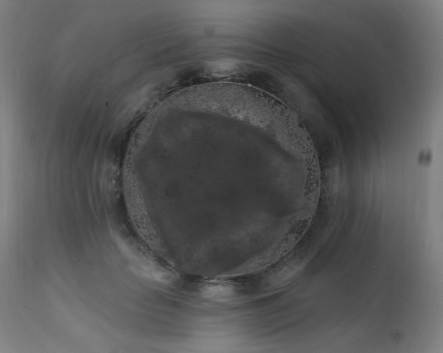 X0000111460653200907131456