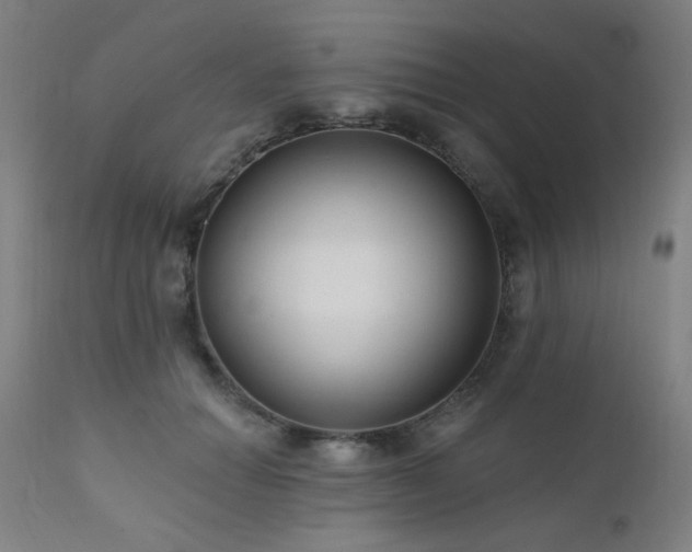 X0000111460654200907131456