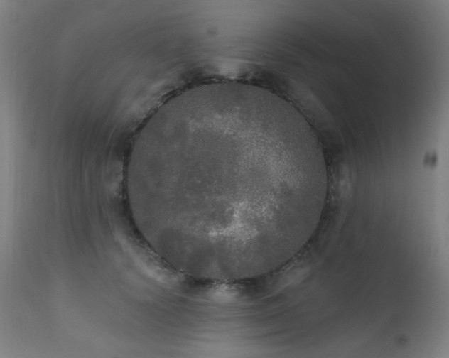 X0000111460656200907131456