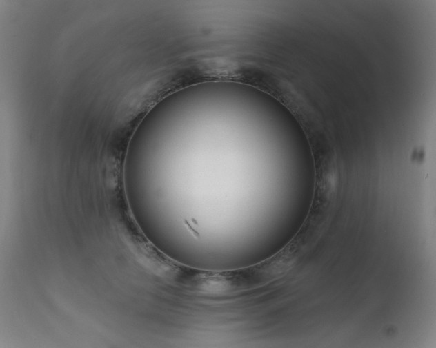 X0000111460658200907131457