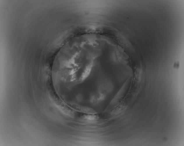 X0000111460659200907131457