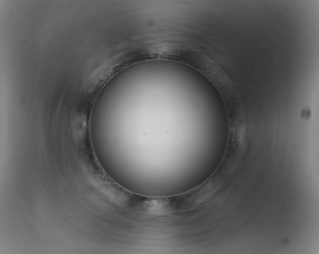 X0000111460660200907131457