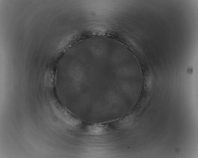X0000111460661200907131457