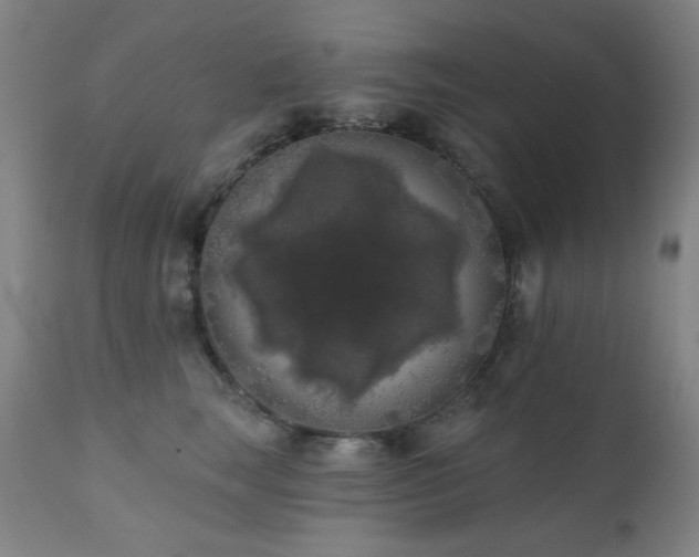 X0000111460663200907131457