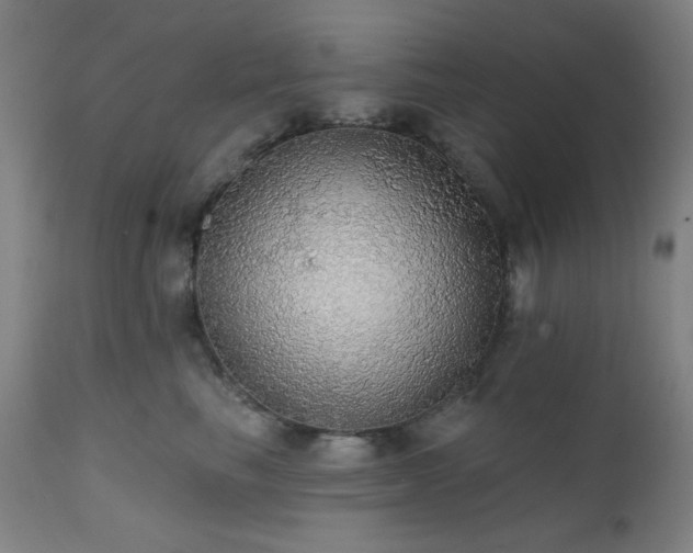 X0000111460665200907131457