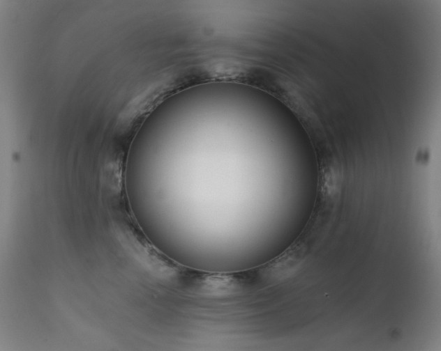 X0000111460666200907131457