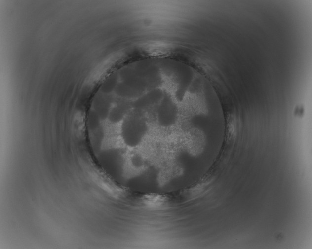 X0000111460667200907131457