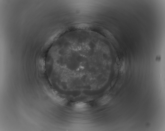 X0000111460669200907131457