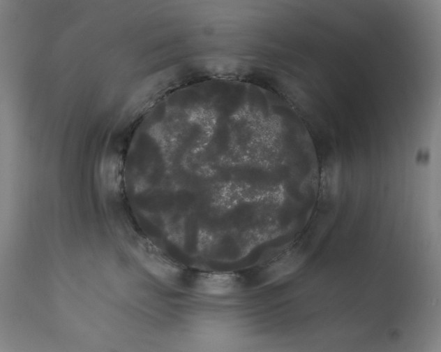 X0000111460671200907131457