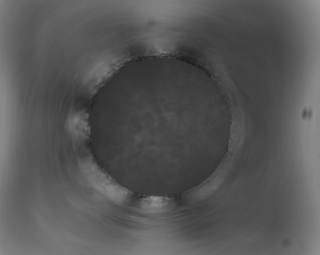 X0000111460672200907131457