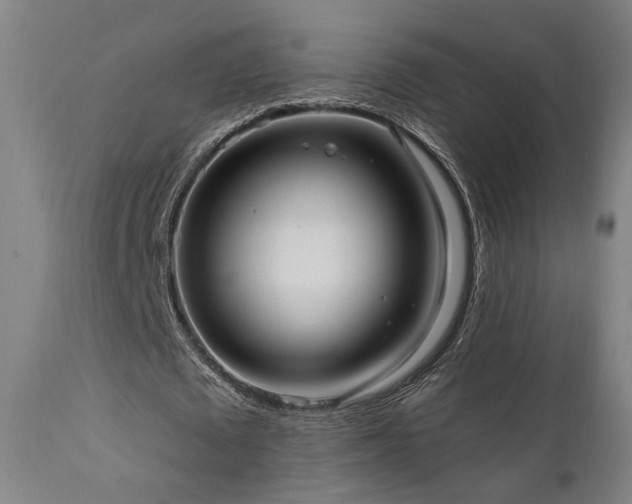 X0000111460673200907131456