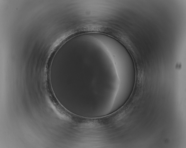 X0000111460674200907131456