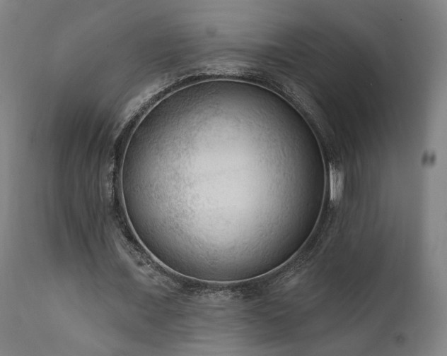 X0000111460675200907131456
