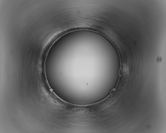 X0000111460676200907131456