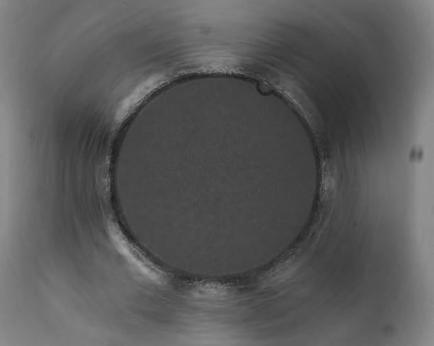 X0000111460677200907131456