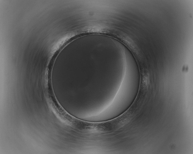 X0000111460678200907131456
