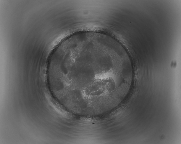 X0000111460679200907131456