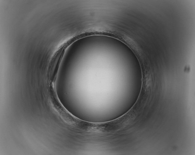 X0000111460680200907131456