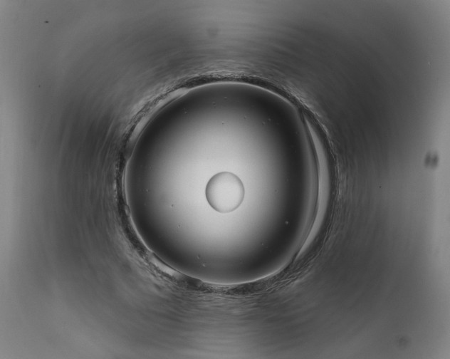 X0000111460681200907131456