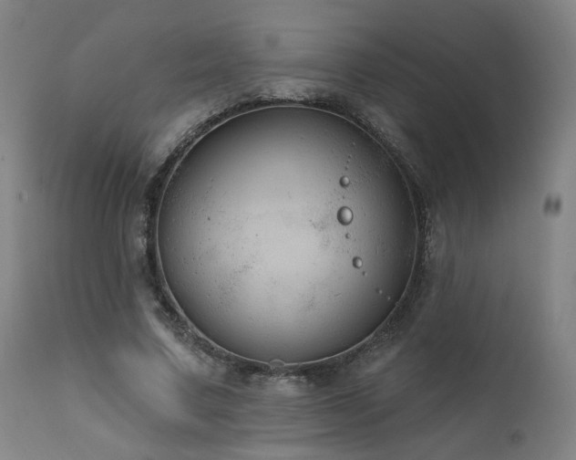 X0000111460683200907131456
