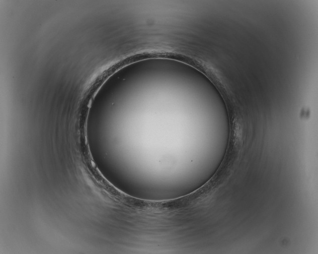 X0000111460684200907131456