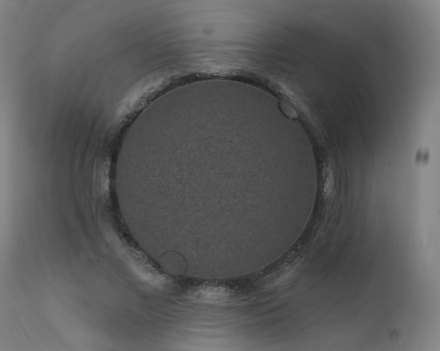X0000111460685200907131456