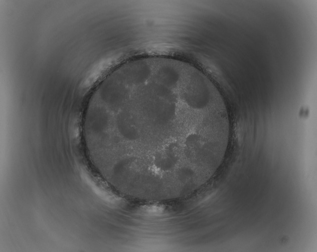 X0000111460687200907131456