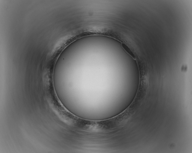 X0000111460688200907131456