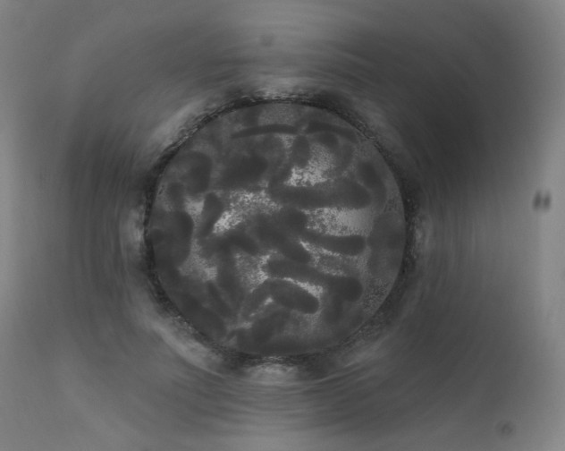 X0000111460691200907131456