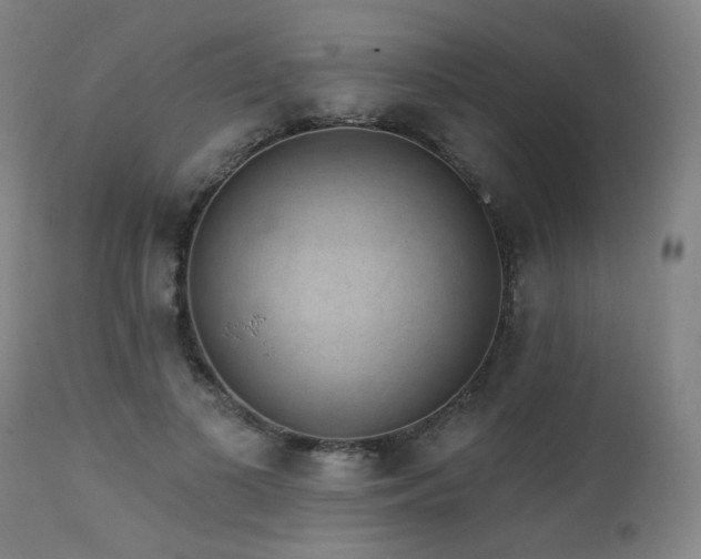 X0000111460693200907131456