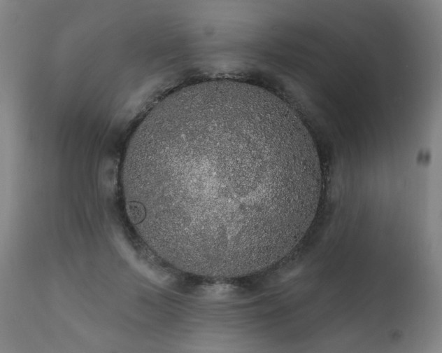 X0000111460695200907131456