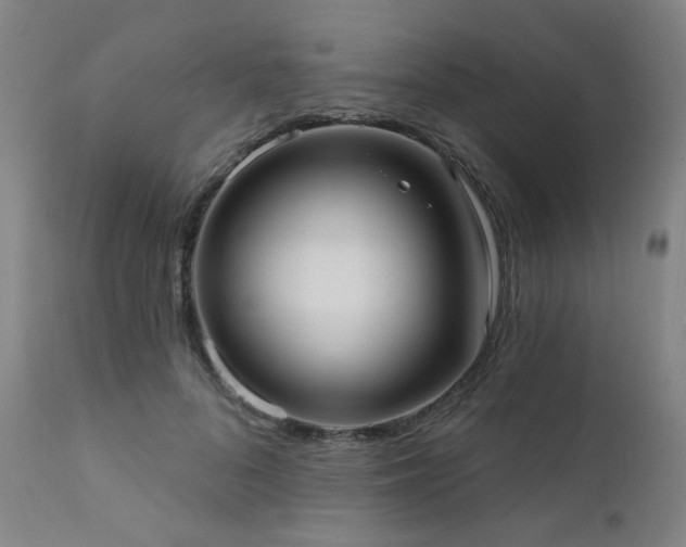 X0000111460696200907131456