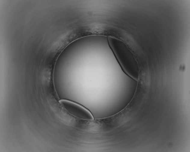 X0000111460697200907131456