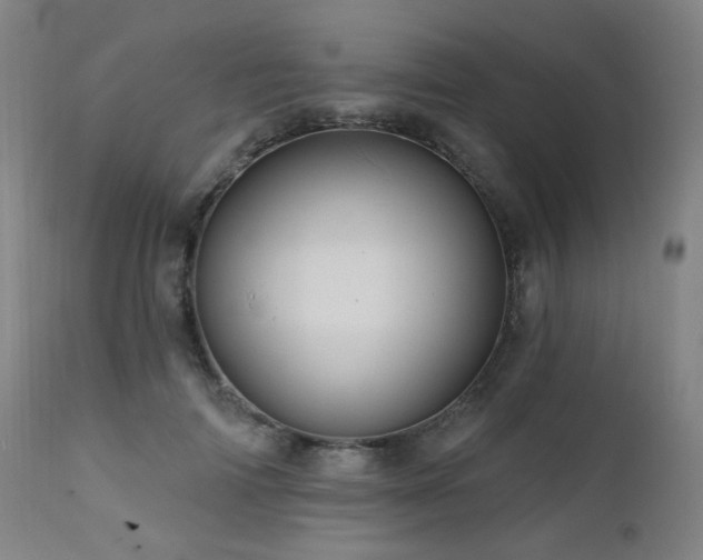 X0000111460698200907131456
