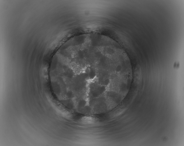 X0000111460699200907131456