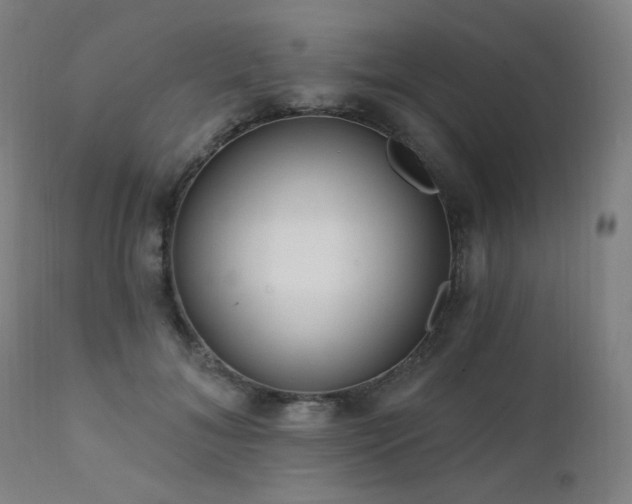 X0000111460700200907131456