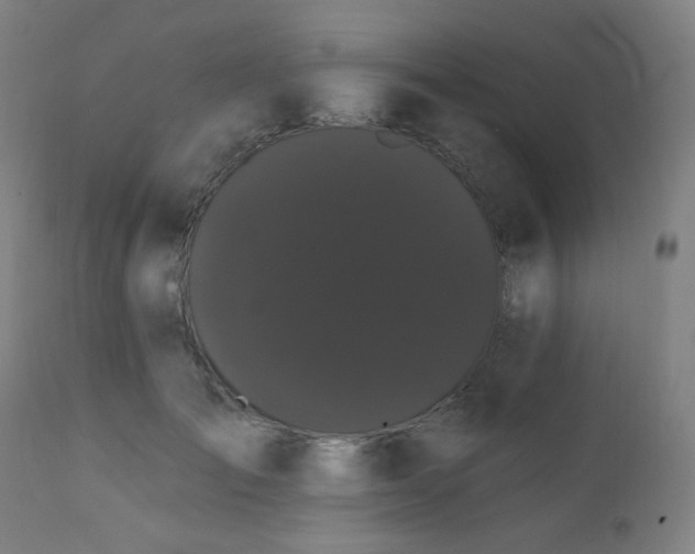 X0000111460701200907131456