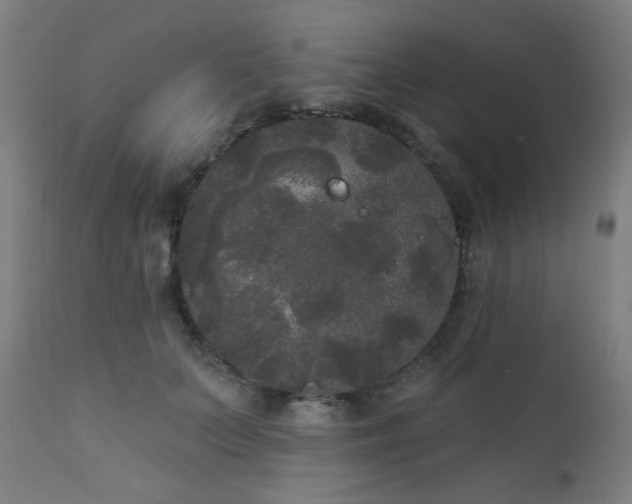 X0000111460703200907131456