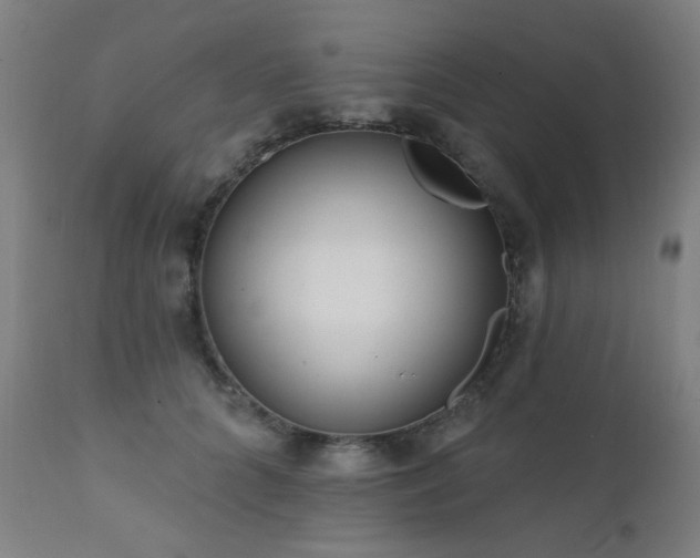 X0000111460704200907131456