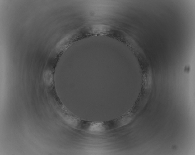 X0000111460705200907131456