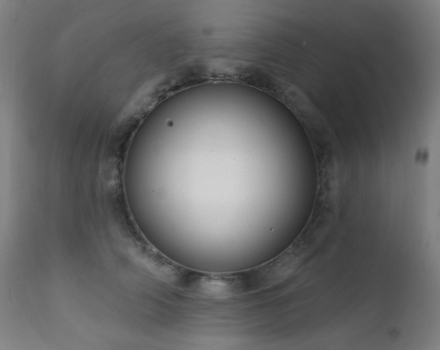 X0000111460706200907131455