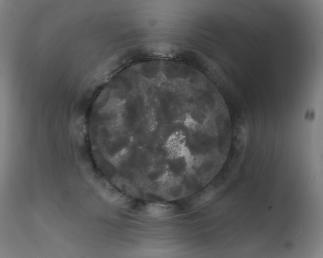 X0000111460707200907131455