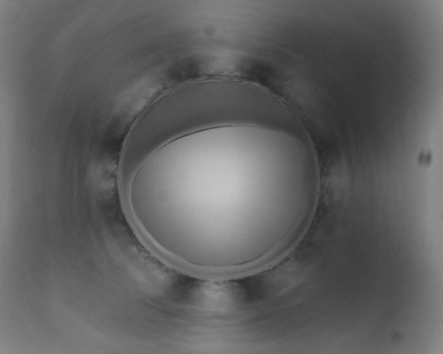 X0000111460708200907131455