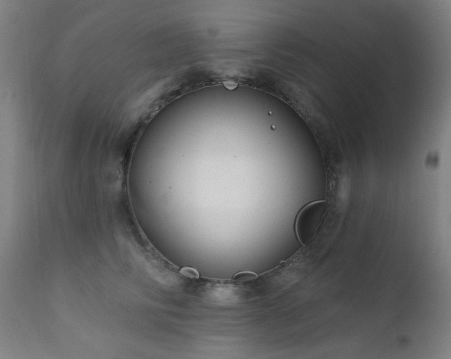 X0000111460710200907131455